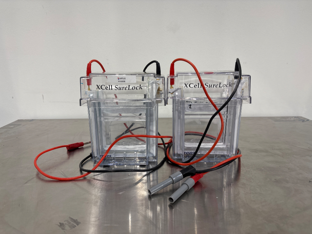 Image of Noves XCell SureLock Electrophoresis Cells x2